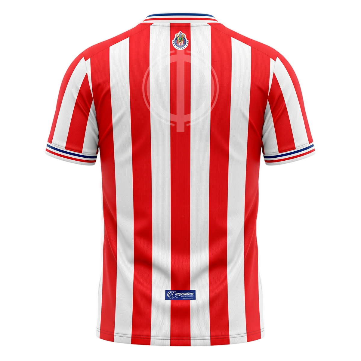 Jersey Puma Chivas Local 110 Aniversario